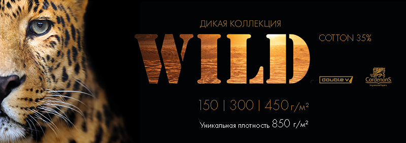WILD-сайт-800.png