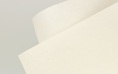 Новинка в сегменте немелованных бумаг для книжной продукции – BOOK PAPER IVORY PREMIUM