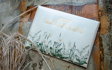 PAPER CREATIVE SEASONS с «ДУБЛЬ В»! 