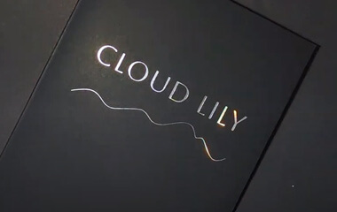 Утонченная и романтичная коллекция CLOUD LILY