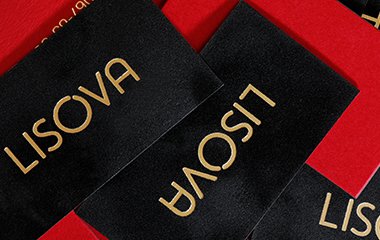 Проект «Ваш опыт. Поделиться». Визитка для артистки оригинального жанра Таи Лисовой