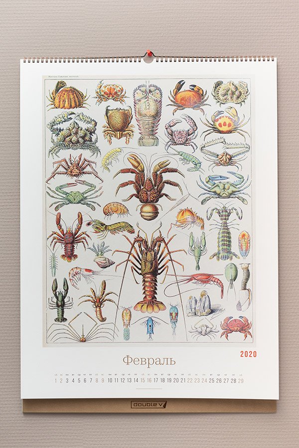 Calendar2020_web-19.jpg Calendar2020_web-19.jpg
