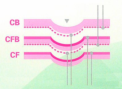 eurocalco-structure.jpg eurocalco-structure.jpg
